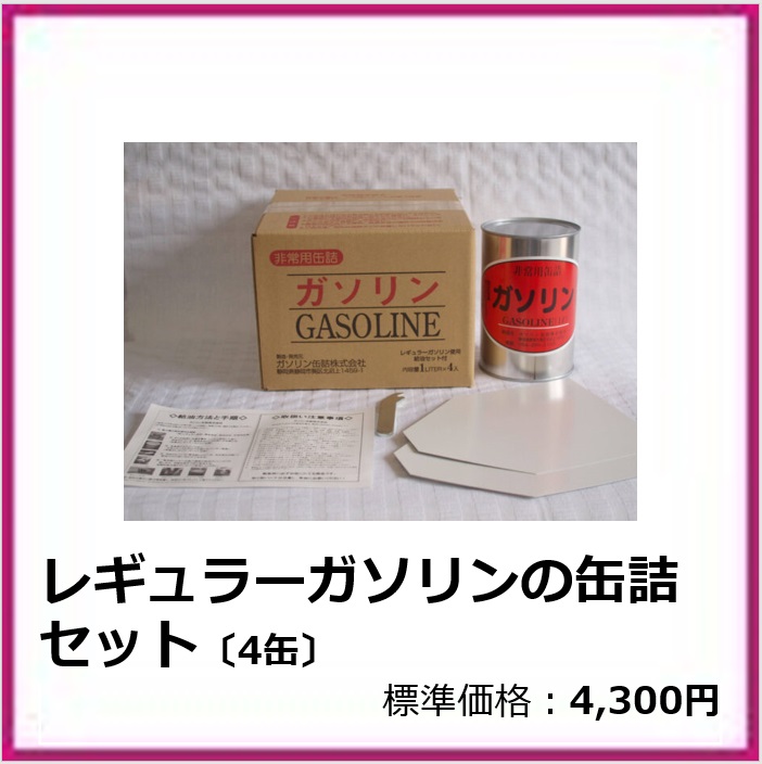 G-401-202	レギュラーガソリンの缶詰セット〔4缶〕